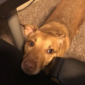 Meet your Posher, Cori